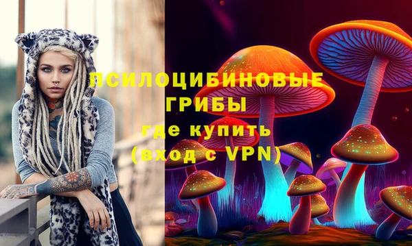 мяу мяу мука Абинск