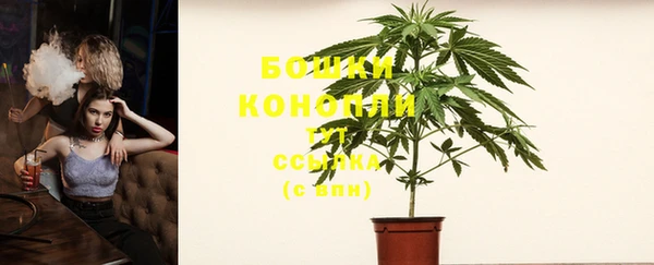 индика Новочеркасск