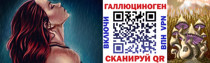 shop Telegram  Эртиль  Галлюциногенные грибы Psilocybe 