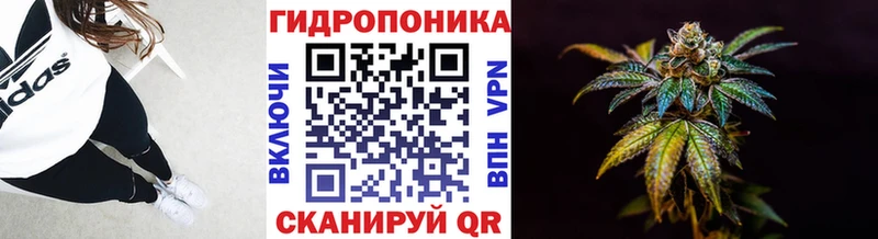 Марихуана индика  ОМГ ОМГ ONION  Эртиль 